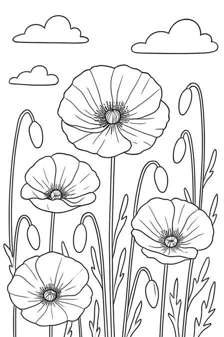 Ausmalvorlage Klatschmohn